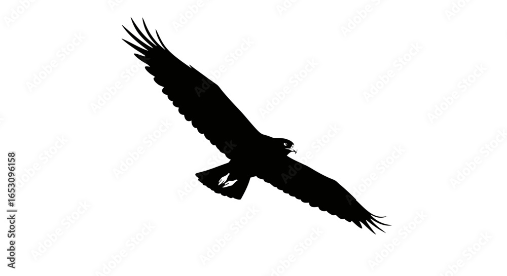 Imagefx_n9ss0k_via_RJ_ImageFX_Auto.ai An Eagle's Soaring Silhouette, Capturing Freedom and Majesty Imagefx_n9ss0k_via_RJ_ImageFX_Auto.ai An Eagle's Soaring Silhouette, Capturing Freedom and Majesty