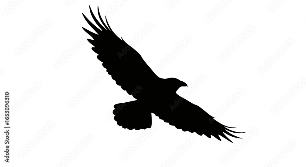 Majestic Raven Silhouette in Flight A Symbol of Freedom and Mystery