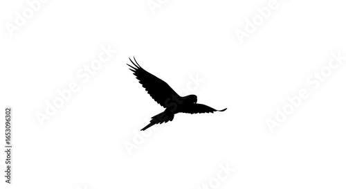 Majestic silhouette of a soaring bird of prey captured against a pristine white background, embodying freedom and strength in a minimalist, impactful composition