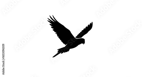 Monochrome vector illustration of a parrot in flight, a stark black silhouette of a soaring bird isolated on a clean white background