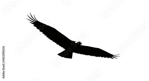 Silhouette of a majestic bird soaring through the sky, with wings spread wide open. imagefx_7f6ad9_via_RJ_ImageFX_Auto