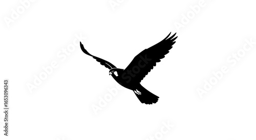 Majestic silhouette of a soaring bird captured digitally, an artistic representation of avian power, imagefx_vicmrg_via_RJ_ImageFX_Auto.ai for graphic projects