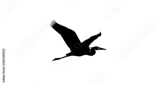 Elegant silhouette of a soaring heron, captured in minimalist black and white, embodying freedom and grace in flight with striking contrast