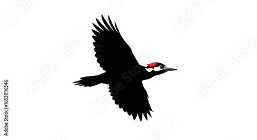 Dynamic black silhouette of a woodpecker in mid-flight, showcasing spread wings and a distinctive red crest, isolated vector graphic on a white background