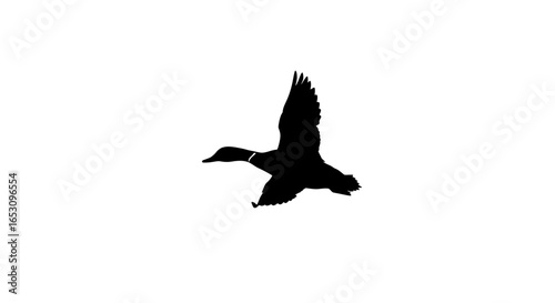 Graceful silhouette of a wild duck in majestic flight across a pristine white background, embodying freedom and nature, meticulously created with imagefx_hop581_via_RJ_ImageFX_Auto.ai precision