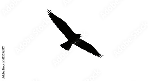 Black silhouette of a bird of prey in flight, a minimalist vector graphic icon of a hawk or eagle with spread wings isolated on a white background