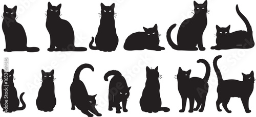 Assortment of black cat silhouettes in different poses, cat, feline, kitten, domestic animal, pet, silhouette, black and white, animal, wildlife, nature, mammal, animalistic, grace, elegance, movement