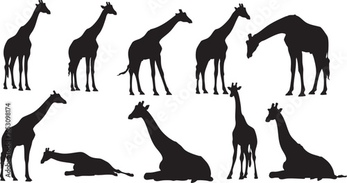 Collection of black giraffe silhouettes in different poses, giraffe, silhouette, animal, wildlife, mammal, savanna, africa, tall, long neck, spots, pattern, standing, walking, lying down, resting, eat