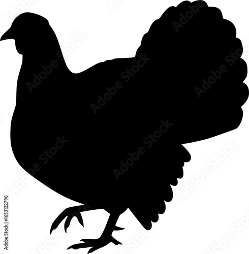 minimal turkey chicken vector silhouette, black color silhouette