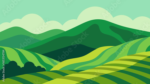 Serene Landscape of Gently Sloping Hills Covered in Green Grass