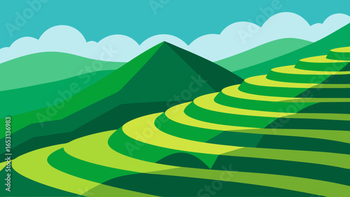 Beautiful Rice Paddy Terrace Carved into a Green Hillside Asian Landscape