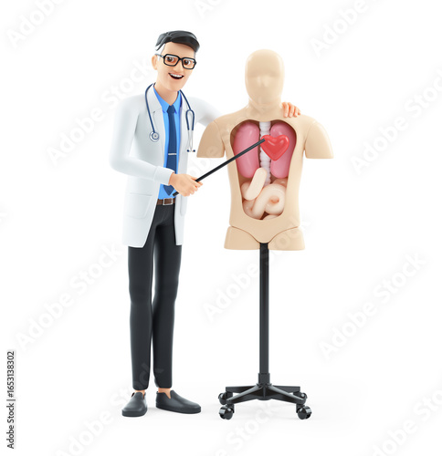 3d cartoon doctor next to anatomy dummy