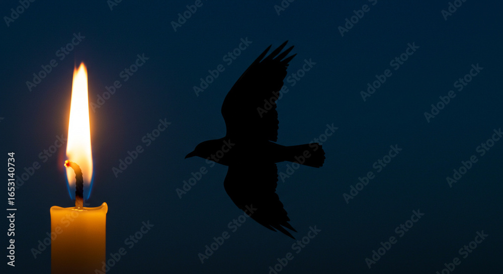 Fototapeta premium Candle flame with silhouette of bird flying in dark background 