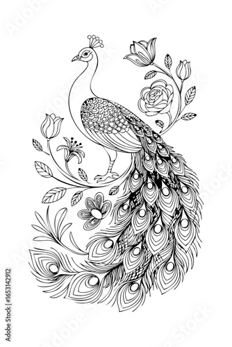 vector illustration of a peacock, colouring page 