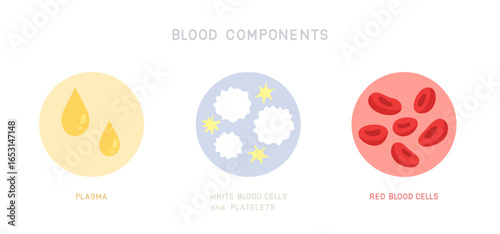 Set of blood components isolated on white background. Plasma, White blood cells and platelets and Red blood cells. Flat vector illustration.