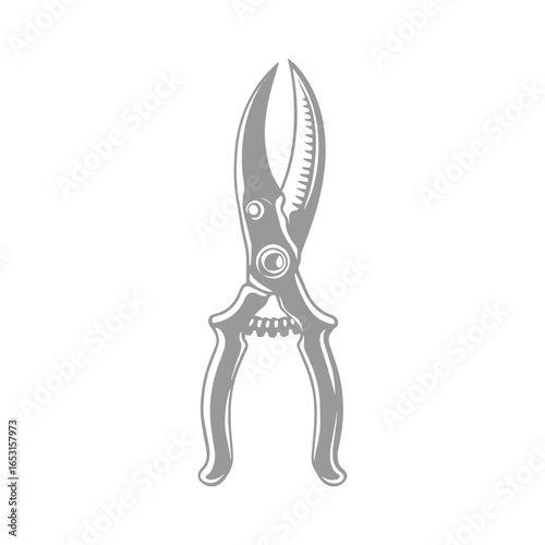 Pruning Shears Illustration Vintage Gardening Tool