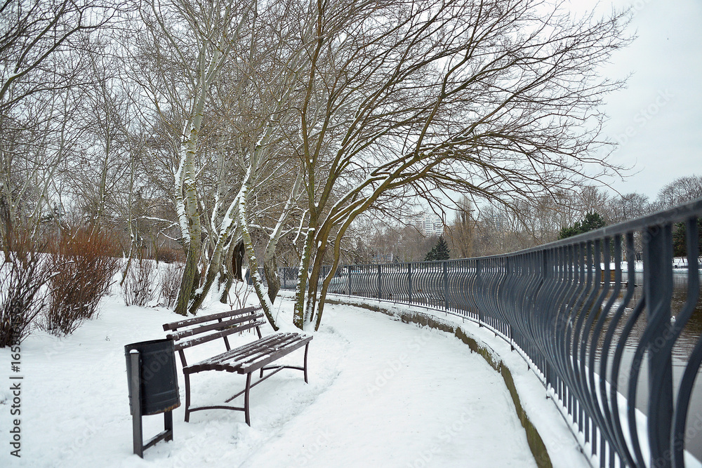 park nature winter bench fence fencing snow on the ground and trees reservoir cold frost nature park nature winter bench fence fencing snow on the ground and trees reservoir cold frost nature
