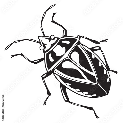 Monochrome shield bug illustration capturing intricate patterns and detailed exoskeleton showcasing nature's fascinating design elements in entomology