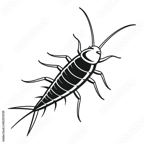 Monochrome Vector Illustration of a Silverfish Insect Detailed Anatomy and Elegant Design Isolated Against White