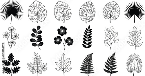 Assorted black and white botanical illustrations of leaves and flowers in a grid formation