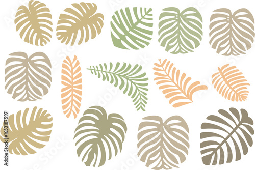 Tropical leaf in various shapes and patterns, vector illustration set. Includes monstera, palm, and other exotic leaves in a stylized, simple design.