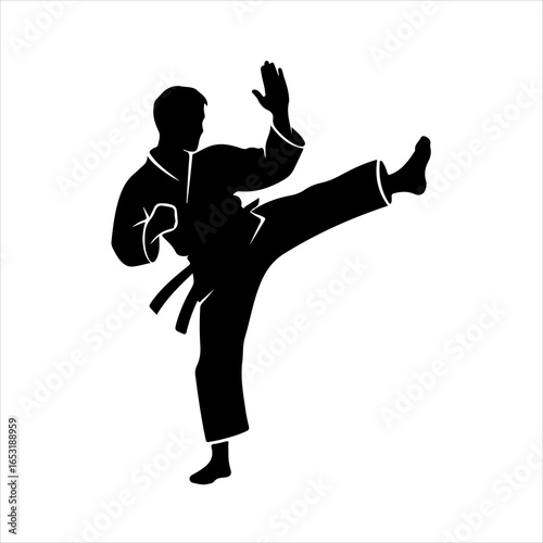 Silhouette of a karateka performing a side kick on a white background martial arts fighter