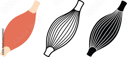 Illustration of three muscle structures in different formats