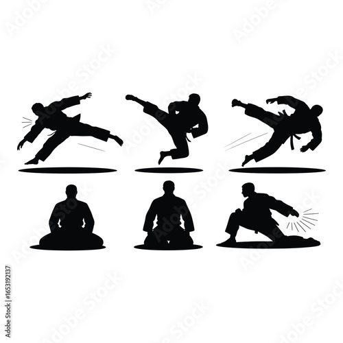 Martial Arts Black Silhouettes Collection of Karate Practitioners Showing Different Poses and Techniques on White Background
