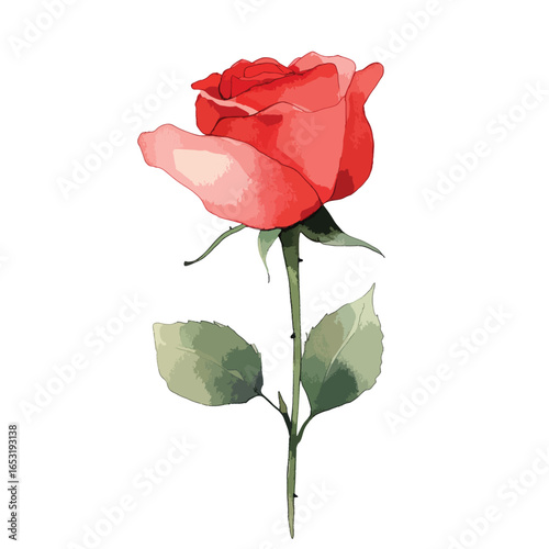 Vibrant Red Rose with Green Stem and Leaves Artistic Botanical Illustration