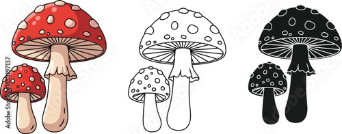 Illustration of fly agaric mushrooms in color line art and black