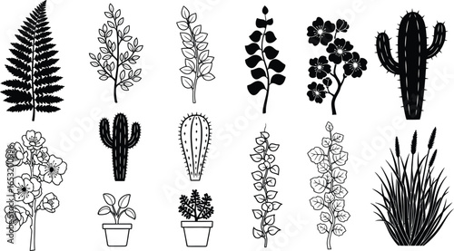 A collection of black and white plant illustrations including fern, cactus, and flowering branches