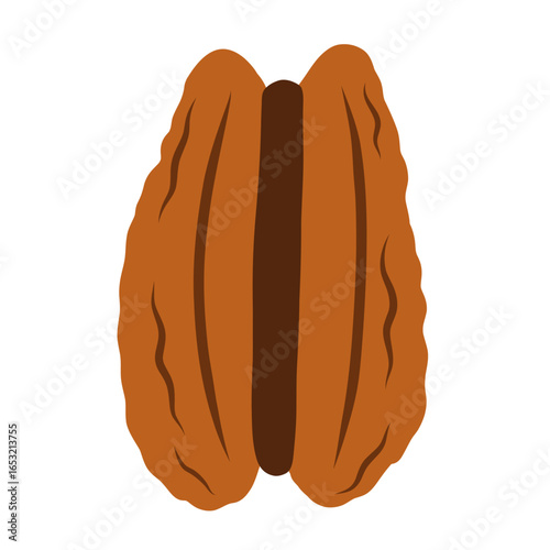 Pecan nut isolated on white background. Healthy food clipart in cartoon style. Doodle peeled pecan element. Vector illustration