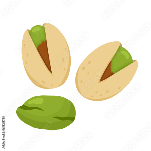 Pistachio nuts isolated on white background. Healthy snack clipart. Doodle food in cartoon style. Vector illustration