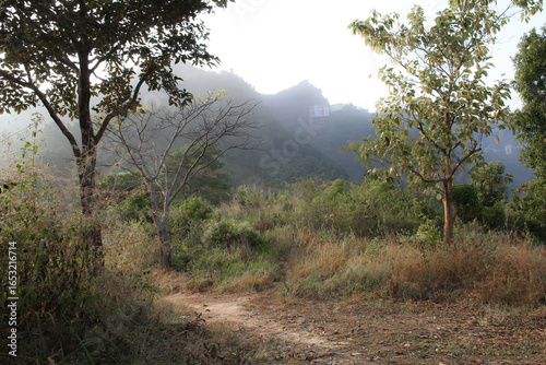 Cuadro en lienzo A misty hillside path winds through tall grass and trees, with distant buildings perched on the mountain slope