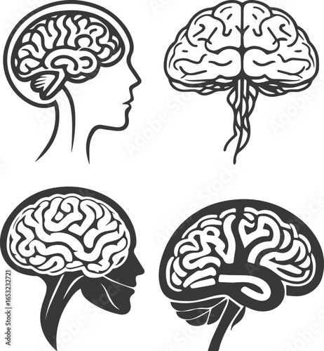 brain vector illustration