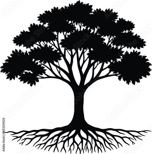 Silhouette of a Tree with Roots and Branches on Transparent Background