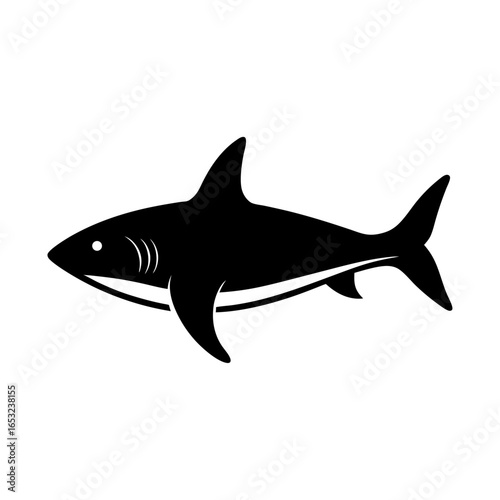 shark isolated on white