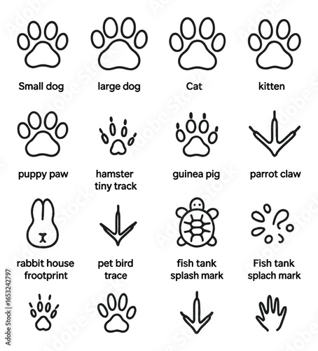 Diverse paw and footprint patterns of pets including dogs, cats, and birds