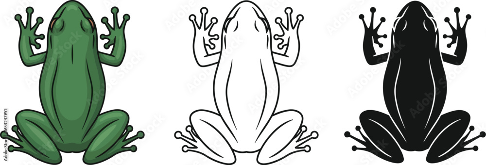 Obraz premium Frog illustration set amphibian vector graphic design art