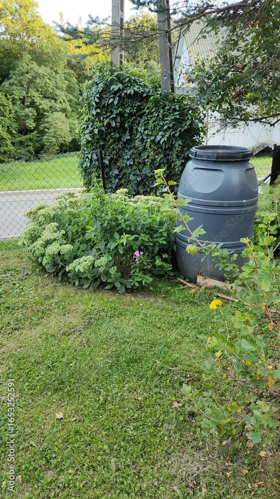 Obraz premium Rain barrel next to lush green garden in suburban outdoor setting 