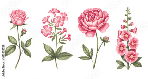 Tableau sur toile Pink rose, phlox, peony, and hollyhock watercolor flowers