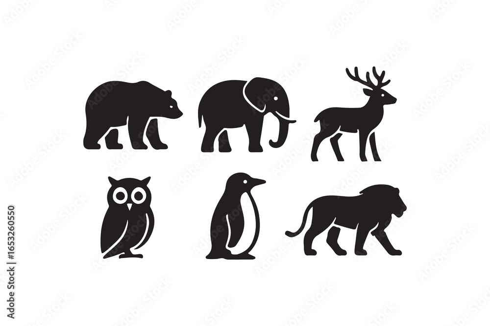 Fototapeta premium set of wild animals vector design collection 