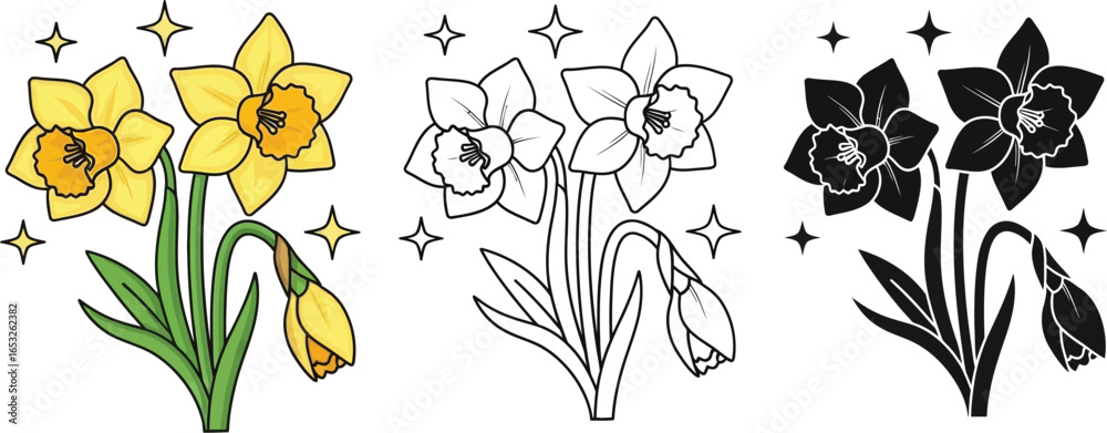 Fototapeta premium Daffodil flower illustration set spring floral design art