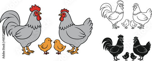 Cartoon chicken family vector illustration farm animals
