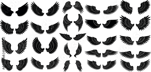 Large collection of stylized black wing designs. Perfect for graphic artists and illustrators creating diverse fantasy, mythical, and symbolic themed digital works.