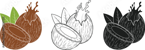 Coconut vector illustration tropic fruit and green leaves
