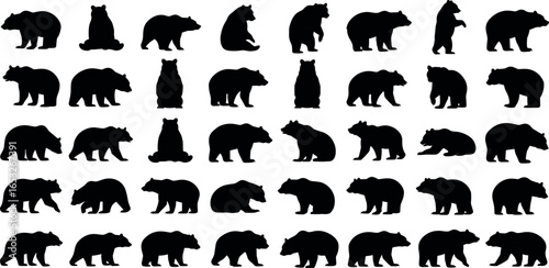 Diverse collection of bear silhouettes in multiple poses. Graphic set of wild animal icons, including grizzly and brown bears, isolated for design.