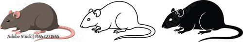 Vector illustration of rats in different styles and colors