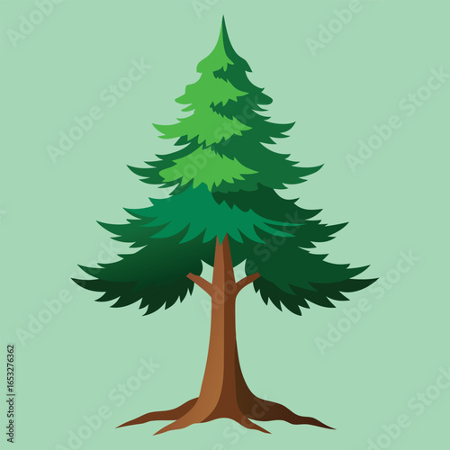 Cypress for the Christmas festival