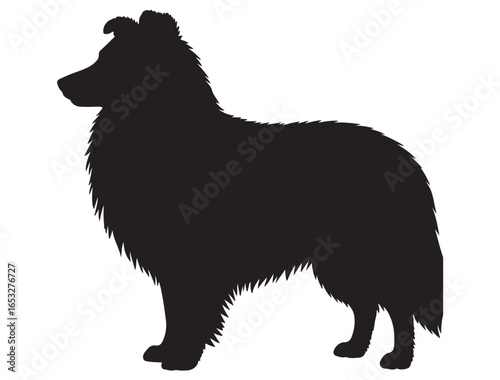 SHETLAND SHEEPDOG SILHOUETTE